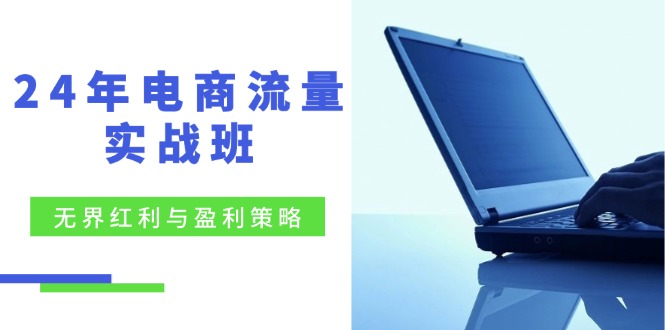 电商流量实战演练班：无边收益与赢利对策，最终提高/关键字优化/精准客户扩展/创新玩法|云雀资源分享