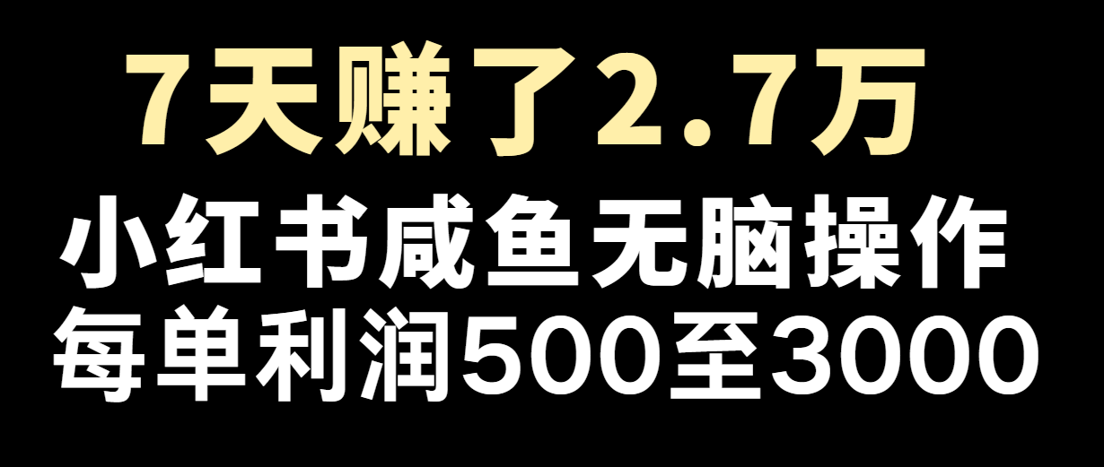 七天挣了2.7万！每单利润至少500 ，轻轻松松月入5万 新手有手就行|云雀资源分享