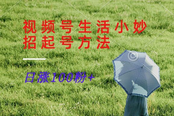 微信视频号生活小窍门共享跑道， 养号增粉新的方法，日涨100粉|云雀资源分享