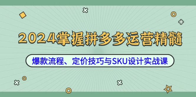 2024掌握拼多多运营精髓：爆款流程、定价技巧与SKU设计实战课|云雀资源分享