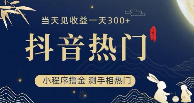 抖音最新小程序撸金，测手掌纹抖音上热门，当日见赢利一小时变现300 【揭秘】|云雀资源分享