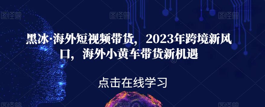 黑冰·国外短视频卖货，2023年跨境电商新蓝海，国外ofo单车卖货机遇与挑战|云雀资源分享