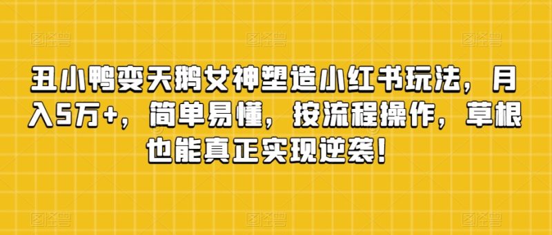丑小鸭变天鹅极品女神营造小红书的游戏玩法,月入5万 ,通俗易懂,按流程操作,草根创业也可以从而实现逆转!|云雀资源分享