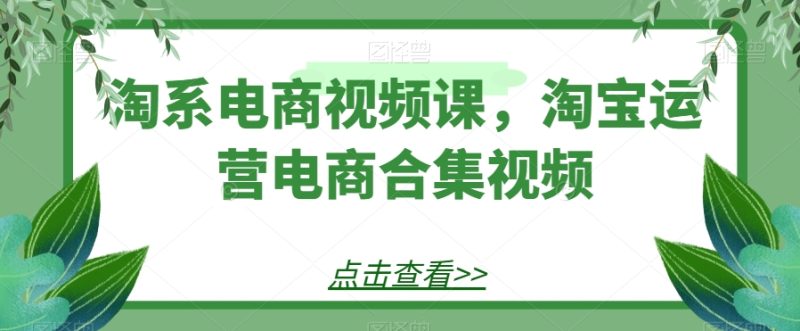 淘宝电商视频课,淘宝店铺运营电子商务合集视频|云雀资源分享