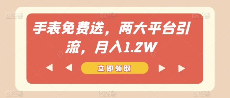 手表免费送,两大平台引流,月入1.2W【揭秘】|云雀资源分享