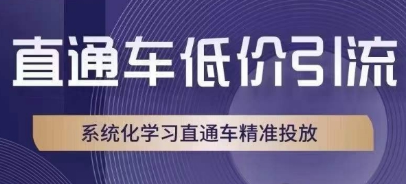 淘宝直通车低价引流课，系统性学习淘宝直通车精准推送|云雀资源分享