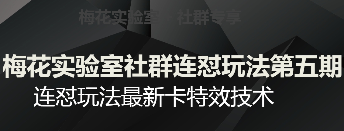 红梅花试验室社群营销连怼游戏玩法第五期，微信视频号连怼游戏玩法全新卡特效技术|云雀资源分享