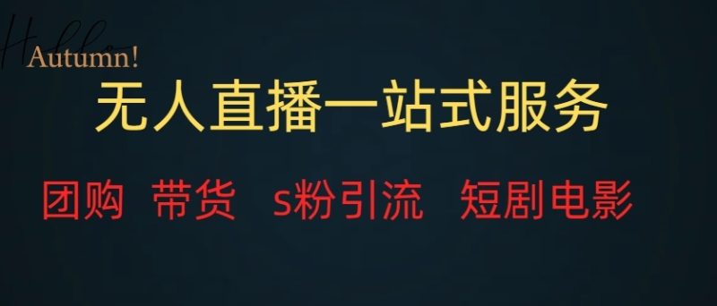 无人直播一站式服务(实例教程及其变现模式)|云雀资源分享
