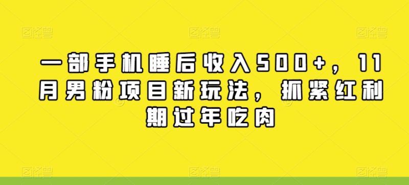 一部手机睡后收入500+,11月男粉项目新玩法,抓紧红利期过年吃肉|云雀资源分享