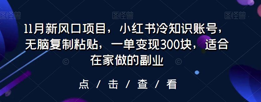 11月新风口项目，小红书冷知识账号，无脑复制粘贴，一单变现300块，适合在家做的副业|云雀资源分享