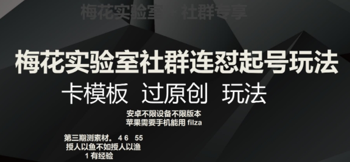 红梅花试验室社群营销连怼养号游戏玩法，卡模版过原创设计游戏玩法【揭密】|云雀资源分享