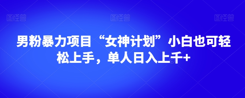 粉丝暴力行为新项目“极品女神方案”新手也可以快速上手，1人日入过千 【揭密】|云雀资源分享