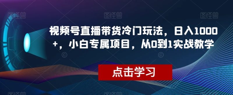 微信视频号直播卖货小众游戏玩法,日入1000 ,新手专享新项目,从0到1实战教学【揭密】|云雀资源分享
