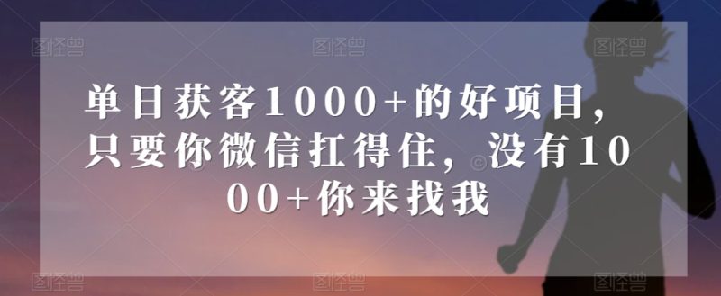 单日获客1000+的好项目,只要你微信扛得住,没有1000+你来找我【揭秘】|云雀资源分享