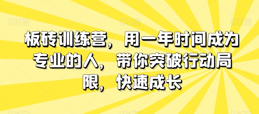 砖头夏令营，用一年时间变成专业人，陪你突破行动局限性，快速增长|云雀资源分享