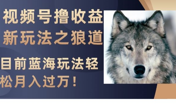 视频号撸收益新玩法之狼道，目前蓝海玩法，轻松月入过万【揭秘】|云雀资源分享