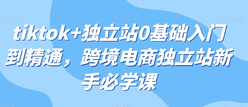 tiktok+独立站0基础入门到精通，跨境电商独立站新手必学课|云雀资源分享