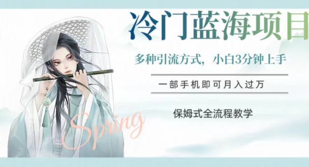小众蓝海项目，使用方便，新手3min入门，多种多样推广方式，跟踪服务全过程课堂教学【揭密】|云雀资源分享