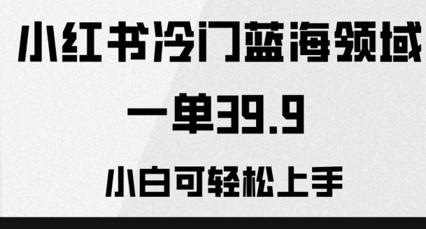 小红书的小众蓝海领域，一单39.9，小白可快速上手|云雀资源分享