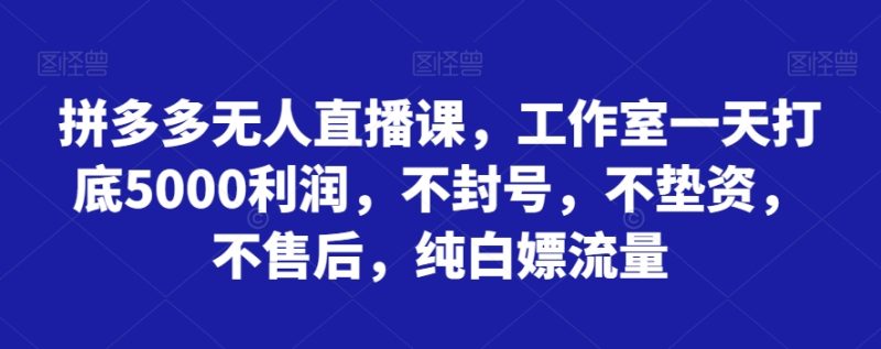 拼多多平台无人直播课,个人工作室一天内搭5000盈利,防封号,不垫付资金,不售后服务,纯白色嫖总流量|云雀资源分享