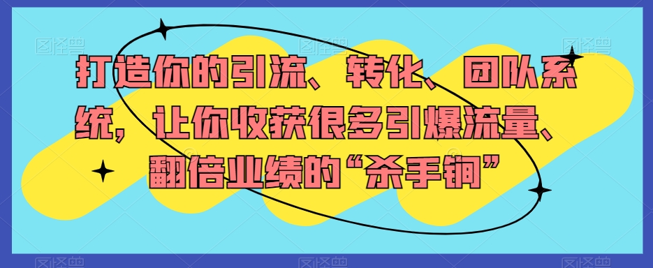 打造出你引流方法、转换、精英团队系统软件，使你收获了很多引爆流量、翻番公司业绩“秘密武器”|云雀资源分享