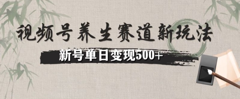 微信视频号健康养生跑道暴力行为掘金队(懒人神器游戏玩法)没脑子运送,小号日入500|云雀资源分享