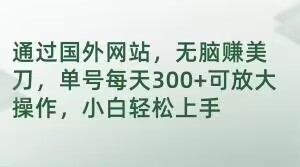 通过国外网站，无脑赚美刀，单号每天300+可放大操作，小白轻松上手【揭秘】|云雀资源分享