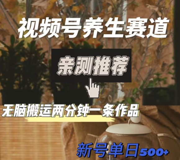 视频号养生赛道暴力掘金，无脑搬运，两分钟一条作品-新日单入500+|云雀资源分享