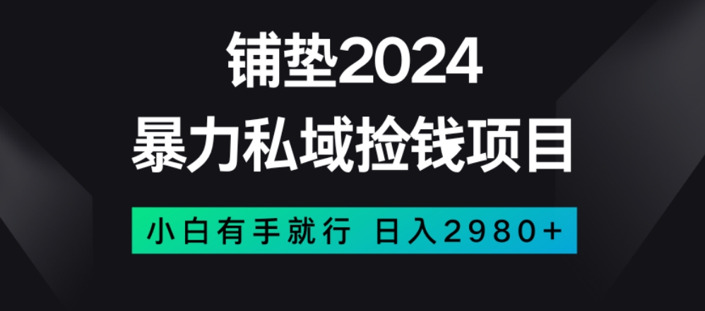 暴力私域捡钱项目，小白无脑操作，日入2980【揭秘】|云雀资源分享
