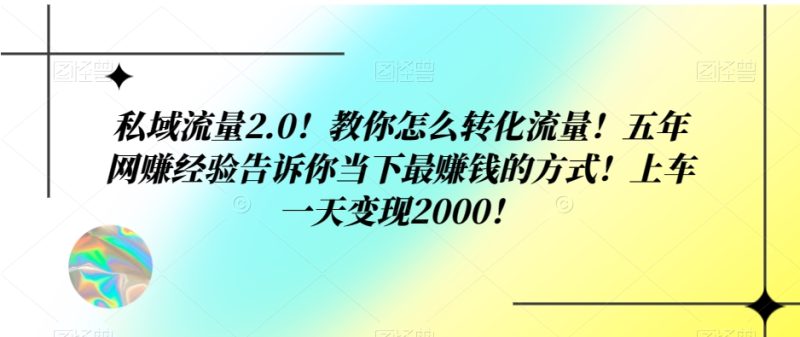 私域流量2.0!教你怎么转化流量!五年网赚经验告诉你当下最赚钱的方式!上车一天变现2000!|云雀资源分享