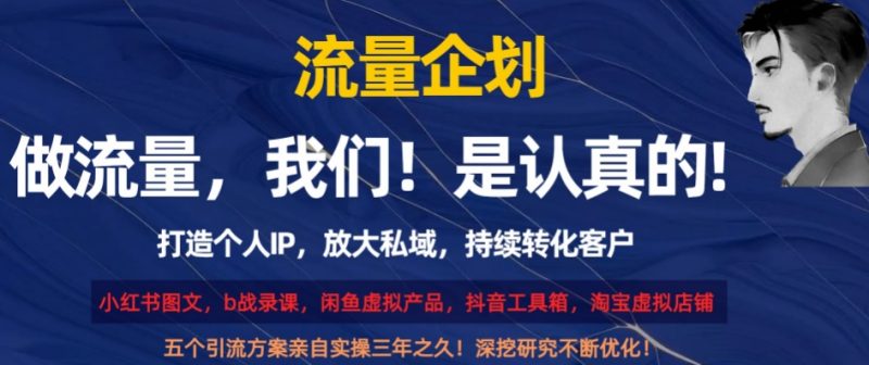 流量企划,打造个人IP,放大私域,持续转化客户【揭秘】|云雀资源分享