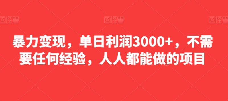 暴力变现,单日利润3000+,不需要任何经验,人人都能做的项目|云雀资源分享