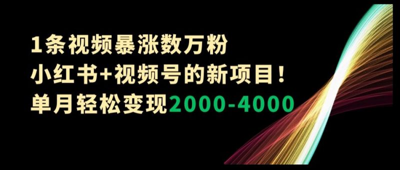 1条视频暴涨数万粉–小红书+视频号的新项目!单月轻松变现2000-4000【揭秘】|云雀资源分享