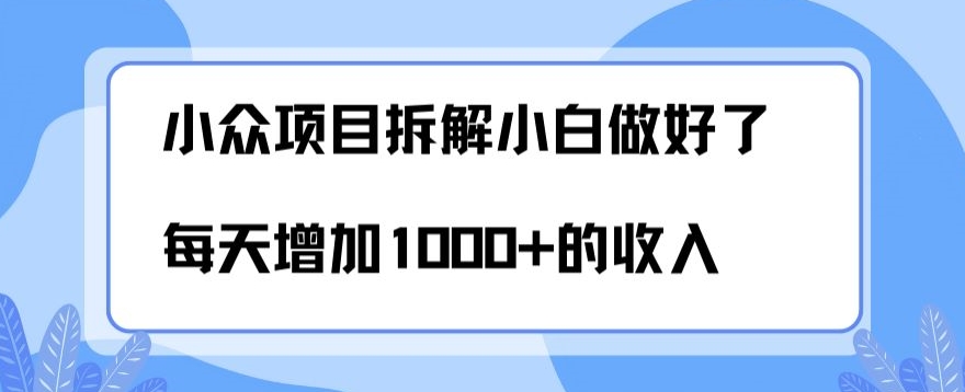 小众项目拆解，小白做好了每天可增加1000多的收入|云雀资源分享