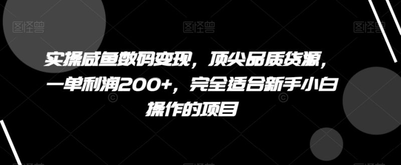 实操咸鱼数码变现,顶尖品质货源,一单利润200+,完全适合新手小白操作的项目【揭秘】|云雀资源分享