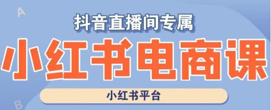 小红书电商高级运营课程，实操教学+案例分析|云雀资源分享