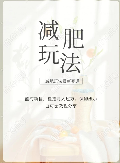 减肥流量主新玩法，轻松月入1W，可矩阵操作收入翻倍|云雀资源分享