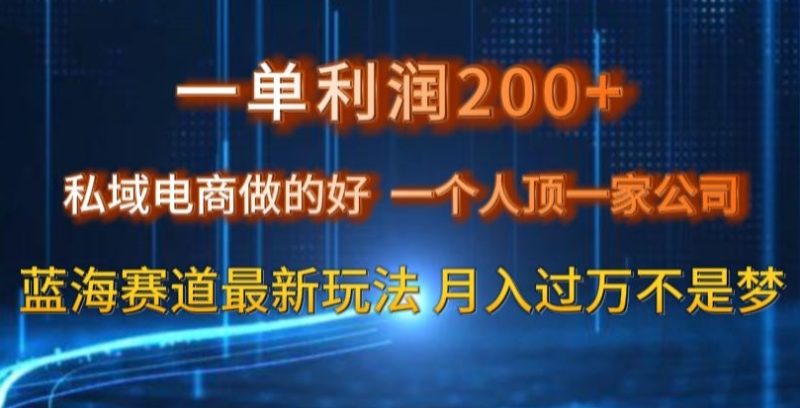 一单利润200私域电商做的好,一个人顶一家公司蓝海赛道最新玩法【揭秘】|云雀资源分享
