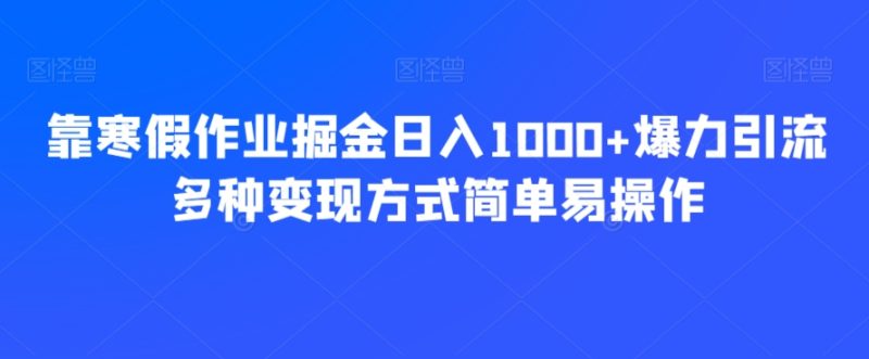 靠寒假作业掘金日入1000+爆力引流多种变现方式简单易操作|云雀资源分享