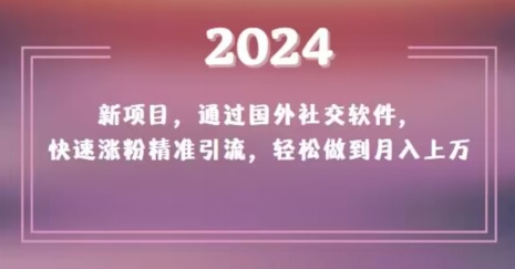 2024新项目，通过国外社交软件，快速涨粉精准引流，轻松做到月入上万【揭秘】|云雀资源分享