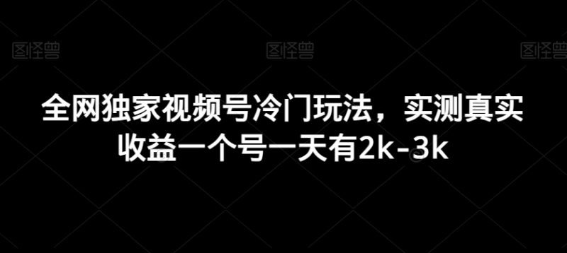 全网独家视频号冷门玩法，实测真实收益一个号一天有2k-3k|云雀资源分享