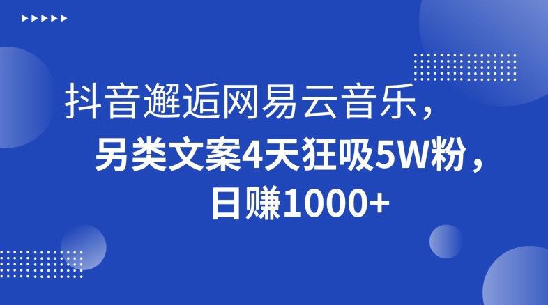 抖音邂逅网易云音乐，另类文案4天狂吸5W粉，日赚1000+【揭秘】|云雀资源分享