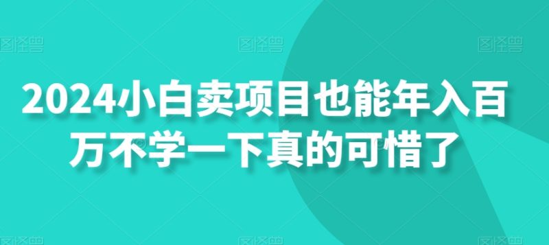 2024小白卖项目也能年入百万不学一下真的可惜了|云雀资源分享