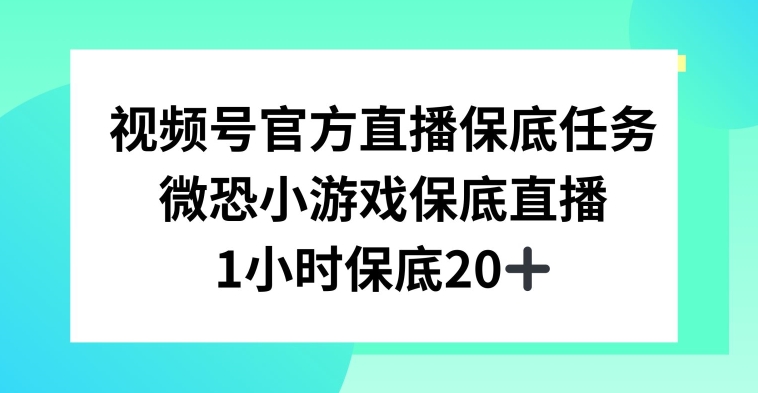 视频号直播任务，微恐小游戏，1小时20+【揭秘】|云雀资源分享