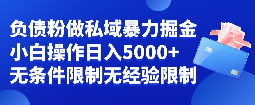 负债粉私域暴力掘金，小白操作入5000，无经验限制，无条件限制【揭秘】|云雀资源分享