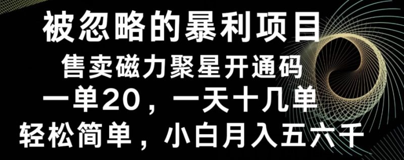 被忽略的暴利项目!售卖磁力聚星开通码,一单20,一天十几单,轻松月入五六千|云雀资源分享