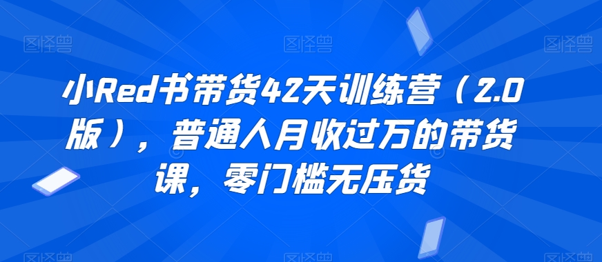 小Red书带货42天训练营（2.0版），普通人月收过万的带货课，零门槛无压货|云雀资源分享