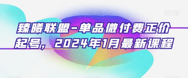 臻曦联盟-单品微付费正价起号,2024年1月最新课程|云雀资源分享