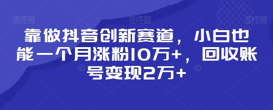 靠做抖音创新赛道，小白也能一个月涨粉10万+，回收账号变现2万+【揭秘】|云雀资源分享