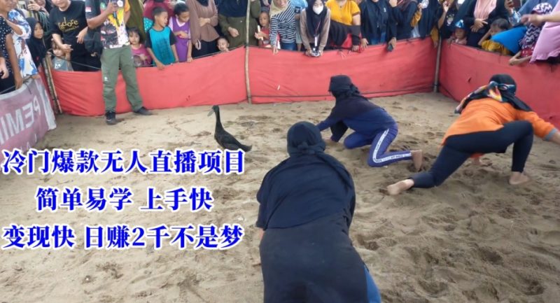 冷门爆款无人直播项目,简单易学上手快,变现快日赚2千不是梦【揭秘】|云雀资源分享